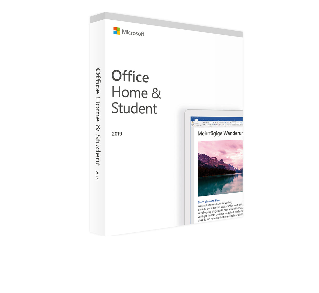 Microsoft Office 2019 Home and Student 