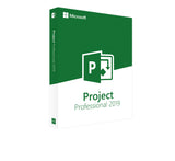 Microsoft Project Professional 2019 