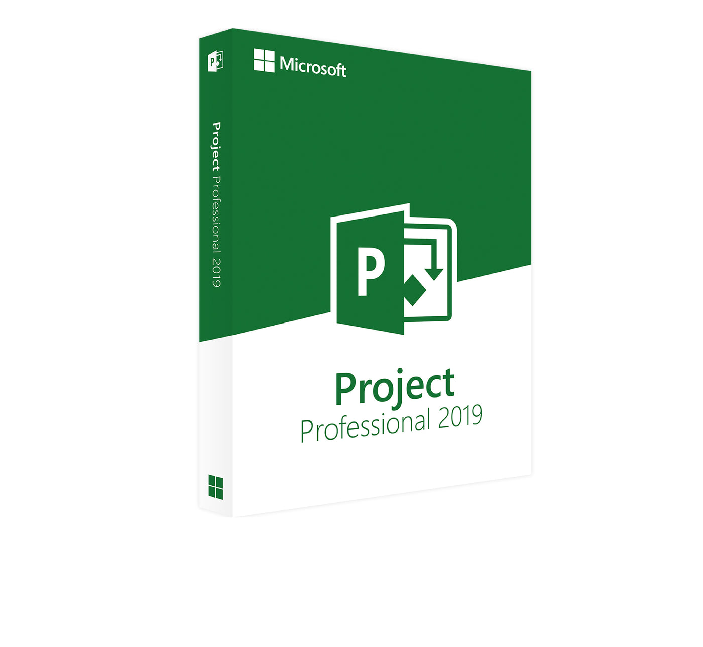 Microsoft Project Professional 2019