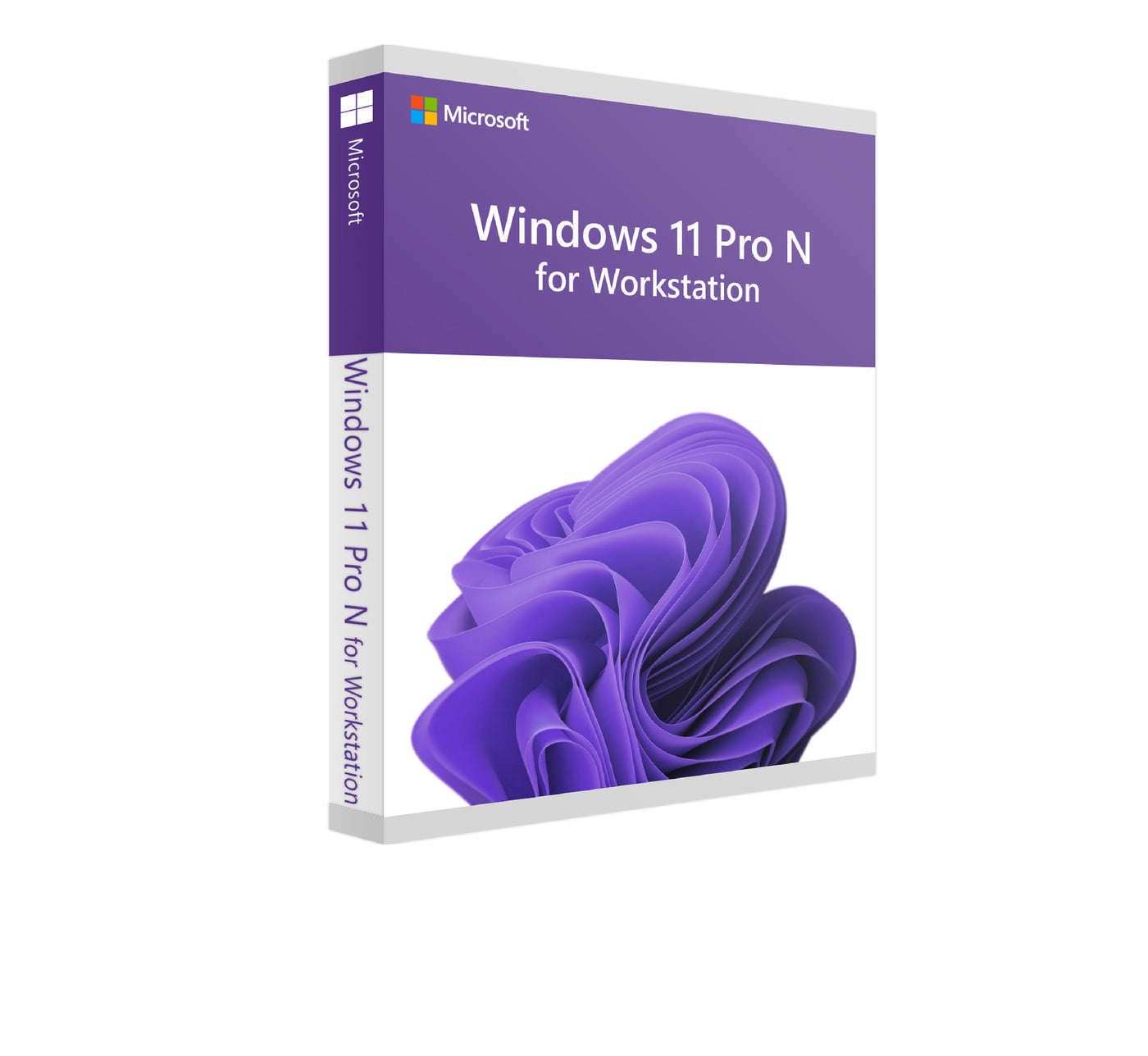Windows 11 Pro for Workstation N