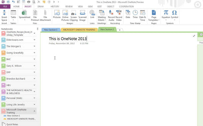 Office 2013 Professional 