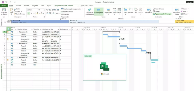 Microsoft Project 2021 Professional ESD-Software-Box mit Bildschirm und Projektplänen auf dem Bildschirm