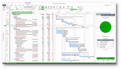 Microsoft Project Professional 2019